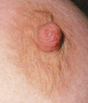 I hope you like all of my photos